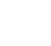 DMolution